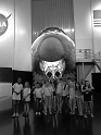 PoPCS_5thGrd-HOU_Sprg-2015 (308)